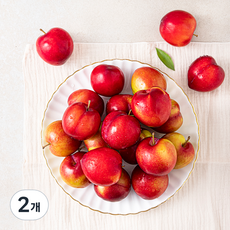 수플린 국내산 자두, 1.8kg, 2개