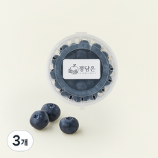 자이언트 20mm 칠레산 블루베리, 3개, 250g
