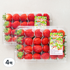 산지직송 스마트팜 김제 설향딸기, 500g(상), 4팩