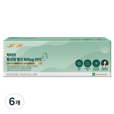 락티브 활성형 엽산 800μg DFE 14g, 56정, 6개