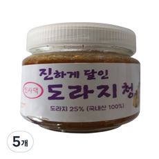 한강 진사댁 진하게 달인 도라지청, 500g, 5개