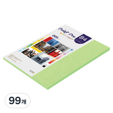 종이문화 프린트프로 두꺼운 칼라 복사지 No 12 그린 205g, B4, 99개