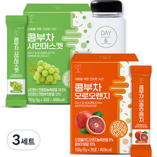 참앤들황토농원 데이앤 콤부차 샤인머스켓 + 모로오렌지 + 전용보틀 세트, 3세트, 150g, 2개입