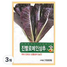진빨로메인 상추 씨앗, 3개