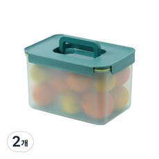 락앤락 프레쉬 프로텍트 밀폐용기 핸들형 그린, 2개, 6L