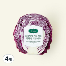 친환경 인증 프리미엄 이유식용 적양배추, 200g, 1개입, 4개