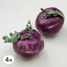 국내산 콜라비, 3개입, 4개