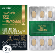 천호엔케어 데일리코어 징코 은행잎추출물 18g, 5개, 30정