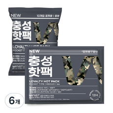 충성 NEW 핫팩 포켓용 중형 100g x 10p, 6개
