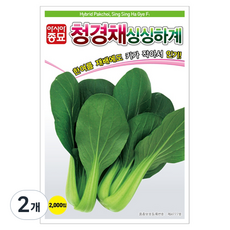 아시아종묘 청경채 싱싱하계 씨앗 2000립, 2개