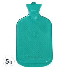 홈스프린 보온 물주머니 보온팩 그린 500ml, 5개