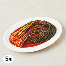 천년의반찬 실비 파김치, 1kg, 5개