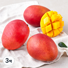 더로얄 대만산 애플망고, 900g(3입), 3팩
