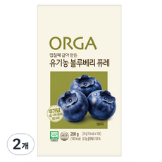 올가홀푸드 유기농 블루베리 퓨레, 20g, 20개