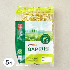 곰곰 GAP 콩나물, 300g, 5개