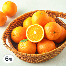 더네이처 sweetugly 오렌지, 6개, 3kg
