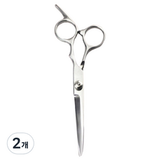 Allweilly 高級不鏽鋼美髮造型剪刀 TSP2585, 2個, 銀色