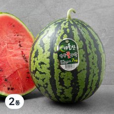 다올찬 맹동 꿀수박, 7kg 이상, 2개
