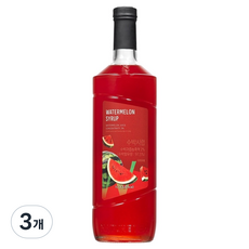 네이쳐티 수박 시럽, 3개, 1L