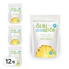 이치비야 동결건조 과일칩 파인애플, 15g, 12개