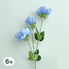 베누디 아네모네 조화, 블루, 6개 블루, 6개