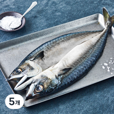 국내산 자반 고등어 (냉장), 5개, 350g