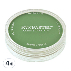 팬파스텔 신한화구 파스텔 CHROMIUM Oxide GREEN 660.5 9ml, 1색, 4개