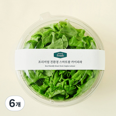 프리미엄 친환경 스마트팜 카이피라, 100g, 6개
