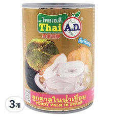 타이에이디 토디팜 인 시럽 통조림, 565g, 3개