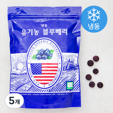 유기가공식품 인증 블루베리 (냉동), 500g, 5개