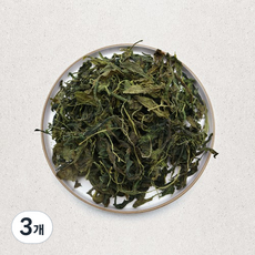 나물투데이 건취나물, 500g, 3개