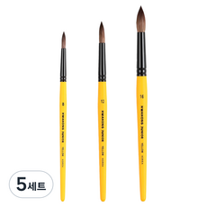 HWAHONG 華虹 兒童水彩畫筆3件組 黃色, 5套, 8號, 12號, 16號