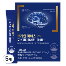 장인정신에브리데이 브레인 피에스 PS 포스파티딜세린 테아닌, 90g, 5개