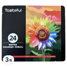시나아트 수채화 색연필 틴케이스, 3개, 24색