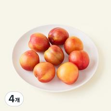 다조은 자두 7~9입, 4개, 300g