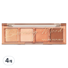 네이처리퍼블릭 데일리 베이직 4구 팔레트, 04코랄, 4개