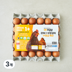 온에그 무항생제 인증 1+등급 특란 1.8kg, 3개, 30구