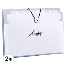 Abern A4 12格文件整理考試卷收納夾 Lucky, 透明, 2個