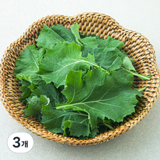 국내산 친환경 베이비케일, 50g, 3개