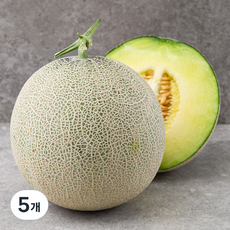 GAP 인증 나주 세지메론, 1.2kg, 5개