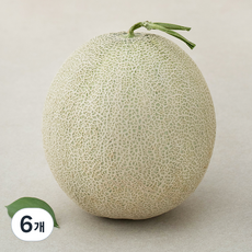 머스크메론, 1.2kg, 6개