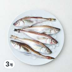 피쉬온탑 생물 도루묵 5미 (냉장), 3개, 350g