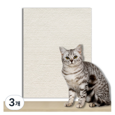 KODACHIEF 고양이 긁힘 방지 냥냥 앙증 스크래쳐 매트, 37 베이지, 3개