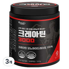 퍼니트 크레아틴 3000, 300g, 3개