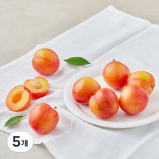 여미야미 자두, 5개, 300g(7~9입)