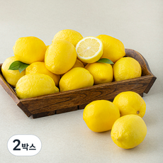 만나다 호주산 레몬, 4kg, 2박스
