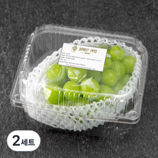 올바른과일 김천 샤인머스켓 실속 450g + 샤인머스켓 착즙 110ml 세트, 2세트