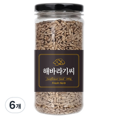 신선약초 해바라기씨, 240g, 6개