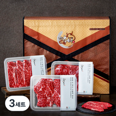 전통참한우 1등급 구이선물세트 등심 250g + 채끝 250g + 부채살 200g (냉장), 3세트