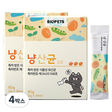 바이오펫츠 고양이 영양제, 30회분, 장건강/유산균, 4박스